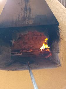 a brick oven with two pizzas in it at Colibri Lodge in Ambatoloaka