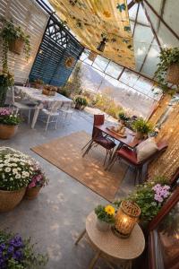 a greenhouse with a table and chairs and potted plants at Casa Dalia 1 in Sighişoara