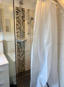 a shower with a shower curtain in a bathroom at Im Point von Kiel City in Kiel +17 photos