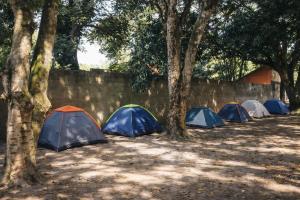 a group of tents in a field with trees at Itaúna Surf Camping in Saquarema