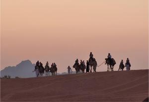 a group of people riding horses in the desert at Moonlight Luxury Bubble Camp & Jeep Tours in Wadi Rum