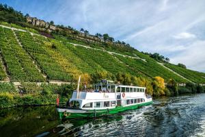 a boat traveling down a river with a hill at Charmantes TINY HOUSE Apartment in Besigheim mit Gartenblick und zentrale Lage in Besigheim