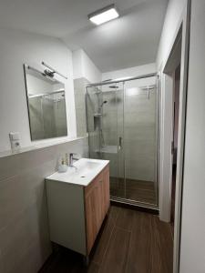 a bathroom with a sink and a shower at BT Plitvice Holiday in Irinovac +44 photos