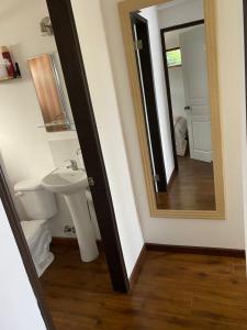 a bathroom with a sink and a mirror at Los Ciruelos Cabin in Calbuco +12 photos
