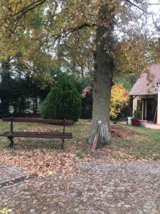 eine Parkbank neben einem Baum in der Unterkunft Suite Étoile in Villebon-sur-Yvette + 2 Fotos