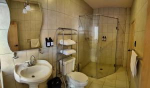 a bathroom with a shower and a toilet and a sink at The FLORENTHINA'S House in Oaxaca City +29 photos