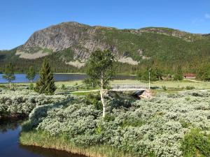 a bridge over a river with a mountain in the background at Haglebu Turistheim in Haglebu