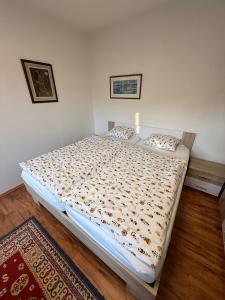 a bedroom with a large bed in a room at Útulný apartmán v Jizerkách in Hejnice