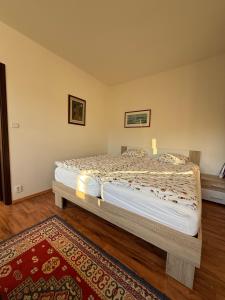 a bedroom with a bed in a room with a rug at Útulný apartmán v Jizerkách in Hejnice