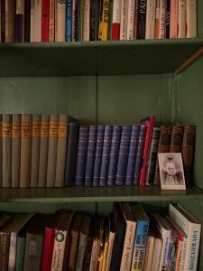 a bunch of books sitting on a shelf at Romantický vejminek pod horami in Kounov