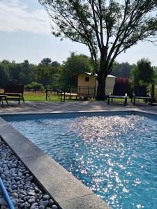 a swimming pool with rocks and benches in a park at Roulotte & Respire in Foussemagne