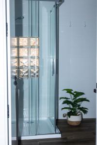 a glass shower with a potted plant in a room at El Refugio de La Condesa Carmen in Manzanares