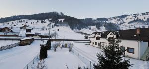 a snow covered village with buildings and a mountain at Casa LUMINITA in Cîrlibaba