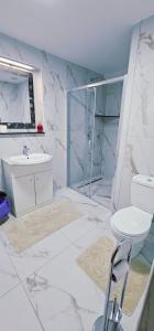 a bathroom with a sink and a toilet and a shower at Casa LUMINITA in Cîrlibaba