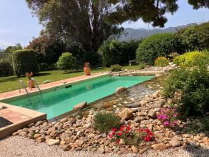 a swimming pool in a garden with rocks and flowers at Studio Mas Pierre in Maureillas