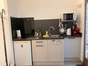 a small kitchen with a sink and a microwave at Studio Mas Pierre in Maureillas +34 photos