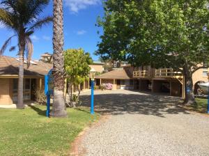 a house with palm trees and a driveway at Como Lodge in Merimbula