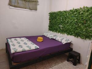 a purple bed with pillows and a green wall at Casa Concha Golfito in Golfito