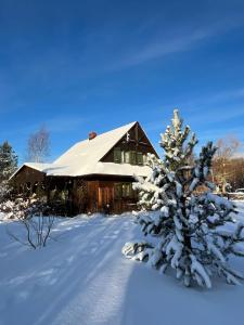 a house covered in snow with a snow covered tree at Dom Marzeń z jacuzzi pod gwiazdami in Kopalino