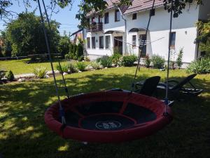 a swing in the yard of a house at Vendel Guesthouse in Mereni