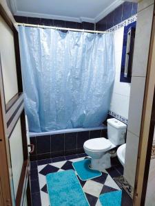 a bathroom with a toilet and a blue shower curtain at Blue Wave in Alexandria