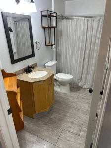 a bathroom with a sink and a toilet and a mirror at Homestake Haven in Lead