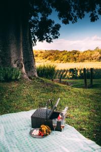 a picnic table with a plate of food and a wine glass at Paineira Vila Flat in Paraisópolis