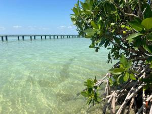 a beach with a pier in the water at Fernando'S Seaside Guest House in Sarteneja