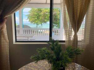 a window with a potted plant in front of a table at Fernando'S Seaside Guest House in Sarteneja