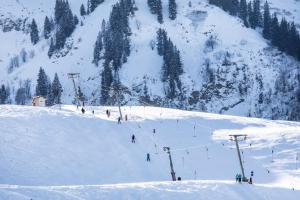 a group of people skiing down a snow covered mountain at Ferienwohnung Flatz in Egg