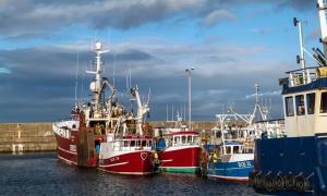 a group of boats parked in the water at Rook View in Buckie +5 photos