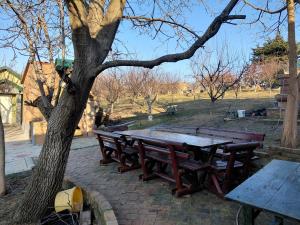a picnic table next to a tree in a park at Ranč Petar Alavanja Banstol in Sremski Karlovci +9 photos