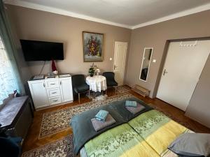 a bedroom with a large bed and a television at RELAX13 Vendégház in Hévíz