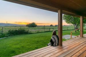 a woman sitting on a porch watching the sunset at Upscale Hot Tub Wildlife Views in Victor +45 photos