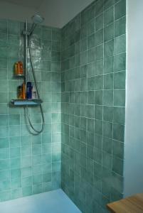 a green tiled shower with a shower head in a bathroom at Maison Le Feu Follet in Lormes