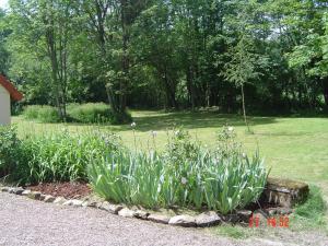 a garden with a bunch of flowers in a yard at Maison Le Feu Follet in Lormes +15 photos