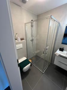 a bathroom with a shower and a toilet and a sink at Apartmány ASTRA in Cheb +151 photos