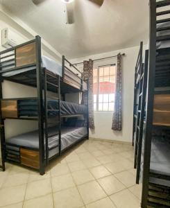 two bunk beds in a room with a window at Baja Cabo Hostal Arenal in Cabo San Lucas