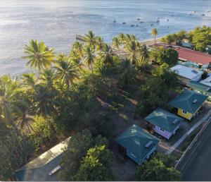 an aerial view of a resort with palm trees and the ocean at Bungalow sur la plage in Le Carbet