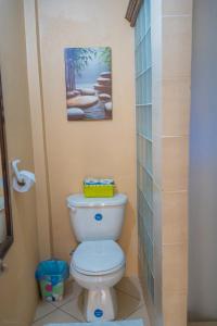 a bathroom with a toilet and a painting on the wall at SK S Haven #1 in Castries +13 photos
