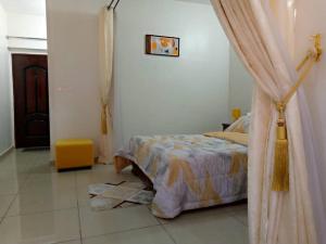 a bedroom with a bed with a curtain in it at Divin Appart in Abidjan