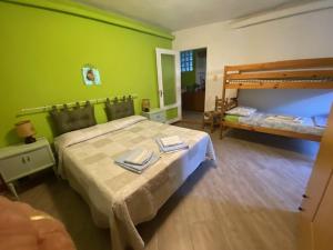 a bedroom with two beds and green walls at CA' DEI PAOLI in Pieve Vergonte