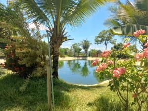 a pond in a park with a palm tree and flowers at Rancho da Montanha Chalé Lua in Resplendor