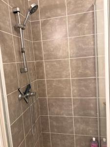 a shower with a shower head in a bathroom at Refuge idéal in Digoin
