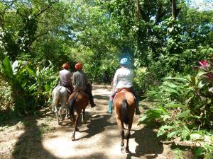 a group of people riding horses down a trail at Jardines del Golfo in Lepanto