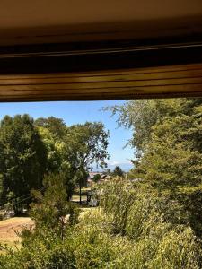 a window view of a park with trees and bushes at Casona de Campo in Puerto Varas +19 photos