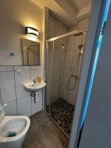 a bathroom with a shower and a toilet and a sink at Monteur Boardinghouse WorkHomes Zuffenhausen in Stuttgart +17 photos