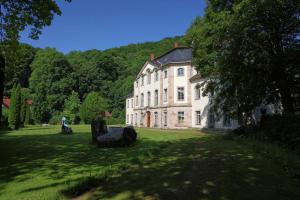 a large house in a field of grass with trees at Ferienwohnung Parkblick in Bad Liebenstein