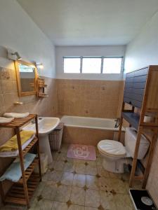 a bathroom with a toilet and a sink and a tub at Holiday rental House in Schœlcher