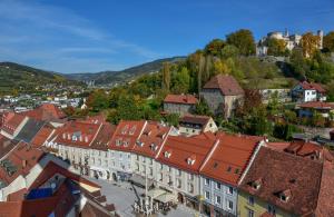 an aerial view of a town with red roofs at Hotel Hecher in Wolfsberg